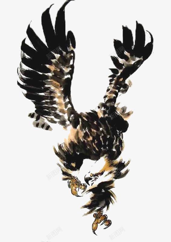 展翅的海雕国画png免抠素材_新图网 https://ixintu.com 中国风 动物 国画 展翅 水墨画 海雕 白尾海雕