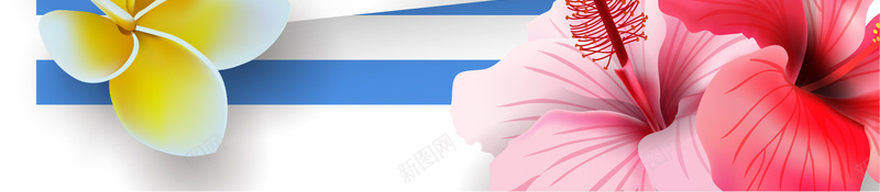 清新唯美花朵时尚美妆海报背景矢量图ai设计背景_新图网 https://ixintu.com 化妆品背景 唯美 护肤品背景 时尚 清新 美妆背景 美容背景 花朵背景 矢量图