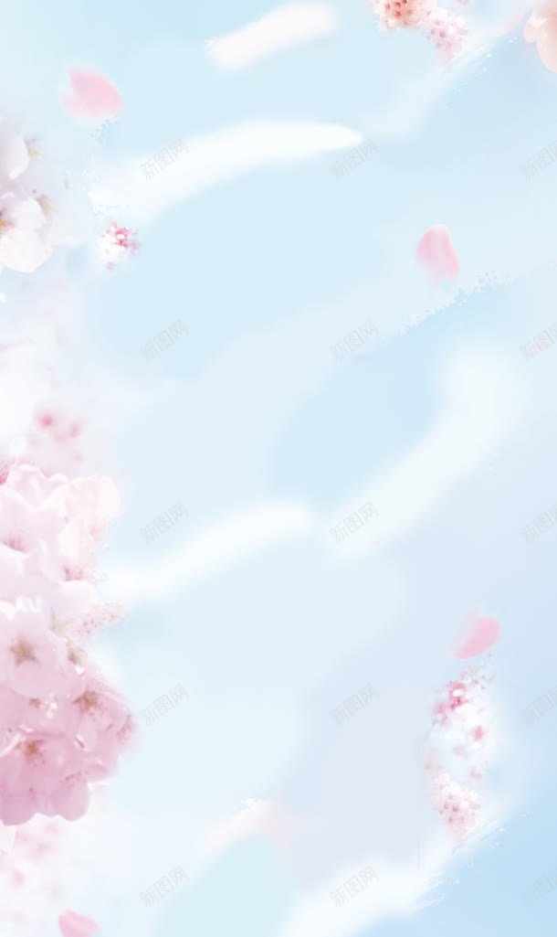蓝色背景红色花朵背景jpg设计背景_新图网 https://ixintu.com 素材 红色 背景 花朵 蓝色