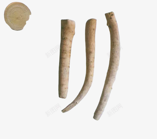 中药白芍饮片png免抠素材_新图网 https://ixintu.com 中药 白芍 药材 饮片