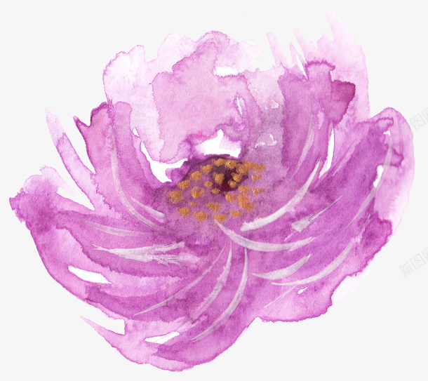 紫色色玫瑰花png免抠素材_新图网 https://ixintu.com 玫 瑰 色 花