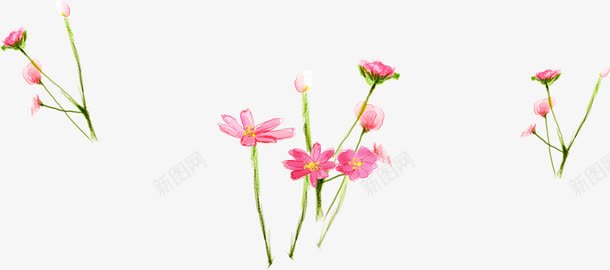 手绘粉色花卉水彩画png免抠素材_新图网 https://ixintu.com 水彩画 粉色 素材 花卉