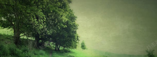 绿树jpg设计背景_新图网 https://ixintu.com 绿树