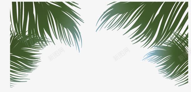 海边海风png免抠素材_新图网 https://ixintu.com 海边背景 海风绿叶 芭蕉叶 铁树叶
