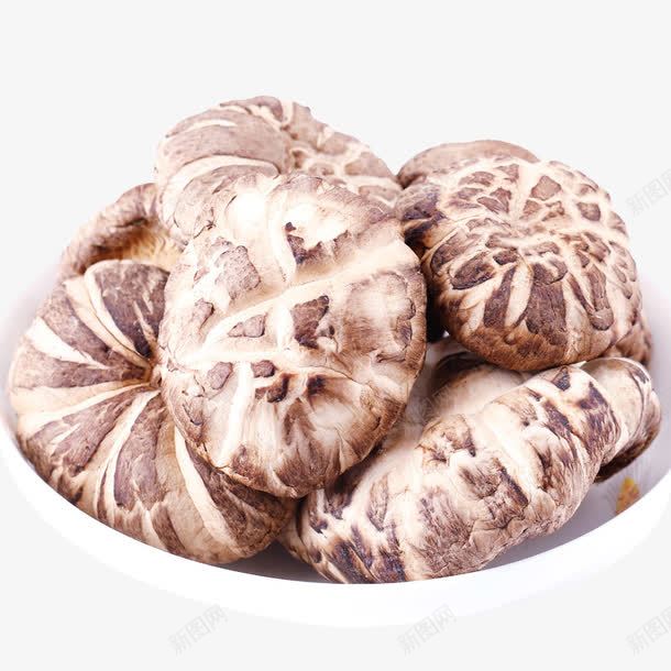 椴木花菇png免抠素材_新图网 https://ixintu.com 产品实物 干货 菌类 野生