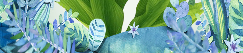 护发素广告促销海报psd设计背景_新图网 https://ixintu.com 化妆品 叶子 护发素 植物 洗发水 清新 生活用品 美容