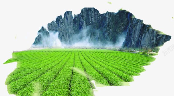 茶田水墨画png免抠素材_新图网 https://ixintu.com 山茶水墨 绿油油 绿茶田 美 茶田 青青的山