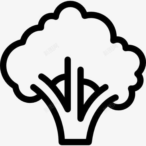 大的西兰花图标png_新图网 https://ixintu.com 健康食品 有机 素食 蔬菜 食品 饮食