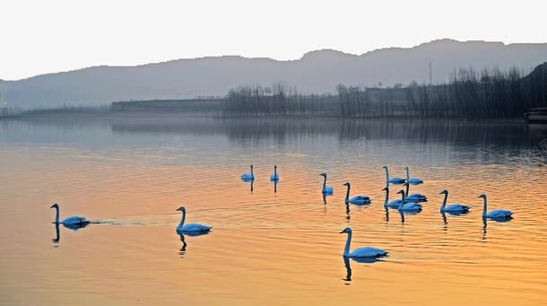 著名景区天鹅湖png免抠素材_新图网 https://ixintu.com 天鹅湖 旅游景区 著名景区天鹅湖 著名景点