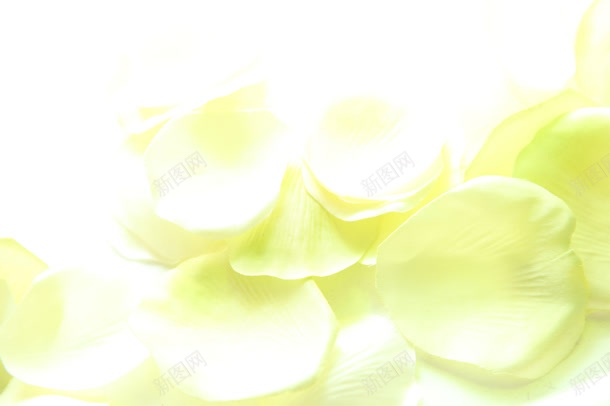 清晰唯美浪漫花瓣jpg设计背景_新图网 https://ixintu.com 浪漫 清晰 花瓣