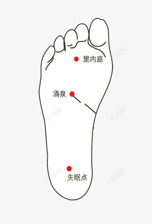 人体脚底穴位png免抠素材_新图网 https://ixintu.com 中医 人体 人体穴位 养生 穴位 脚底
