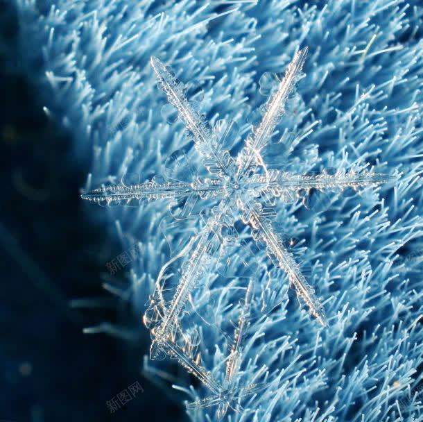 雪花背景jpg设计背景_新图网 https://ixintu.com 其它类别 冰凌 图片素材 圣诞节素材 结冰 背景花边 雪花 雪花背景图片 雪花背景图片素材下载