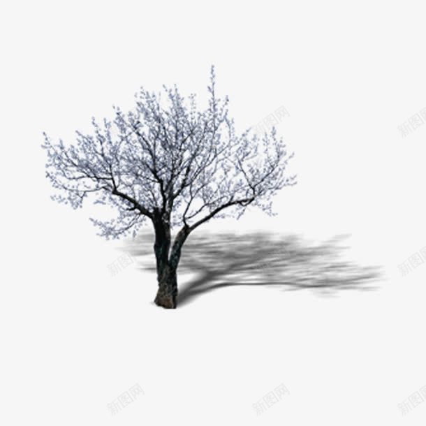 景观鸟瞰树png免抠素材_新图网 https://ixintu.com 景观树 景观鸟瞰树 树木 鸟瞰树