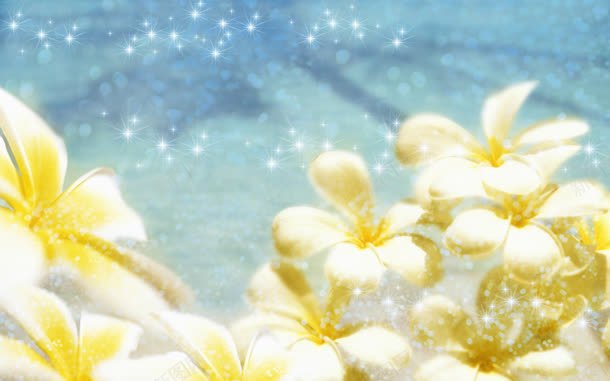 唯美清新鲜花壁纸图jpg设计背景_新图网 https://ixintu.com 壁纸 清新 鲜花