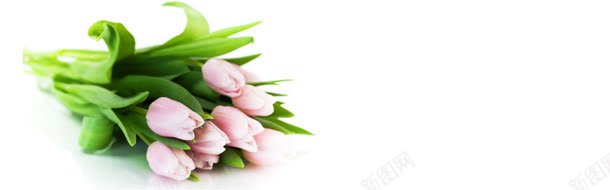 唯美花朵淘宝海报背景jpg设计背景_新图网 https://ixintu.com banner 气势 淘宝素材 简约大气 背景