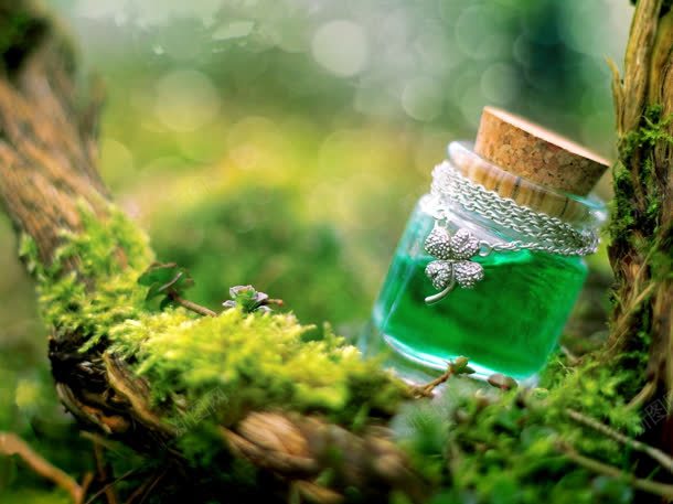 绿色清新野外植物壁纸jpg设计背景_新图网 https://ixintu.com 壁纸 植物 清新 绿色 野外