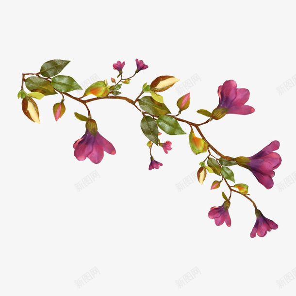 枝干上的花png免抠素材_新图网 https://ixintu.com 卡通 叶子 手绘 枝干 简图 紫色 绿色 花朵 黄色