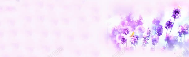 紫色薰衣草虚化唯美背景bannerjpg设计背景_新图网 https://ixintu.com banner 唯美 紫色 背景 薰衣草 虚化