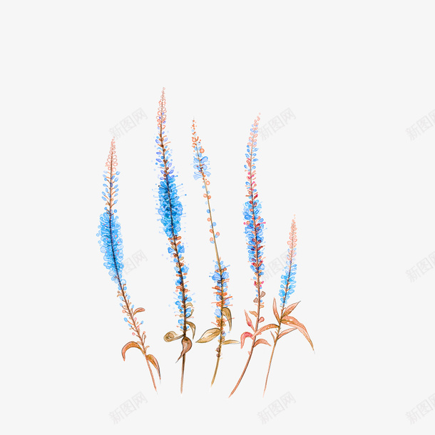 蓝色唯美花束png免抠素材_新图网 https://ixintu.com PNG图形 植物 花束 蓝色 装饰