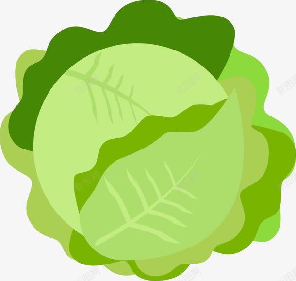 绿色卷心菜png免抠素材_新图网 https://ixintu.com 免抠PNG 包菜 卡通卷心菜 卷心菜插画 果蔬 球菜 绿色蔬菜 绿色食品 蔬菜