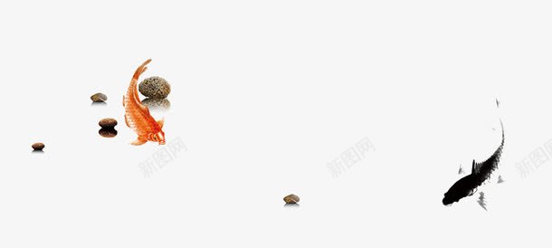 中国风水墨画png免抠素材_新图网 https://ixintu.com 中国风 水墨画 石子 金鱼 黑鱼