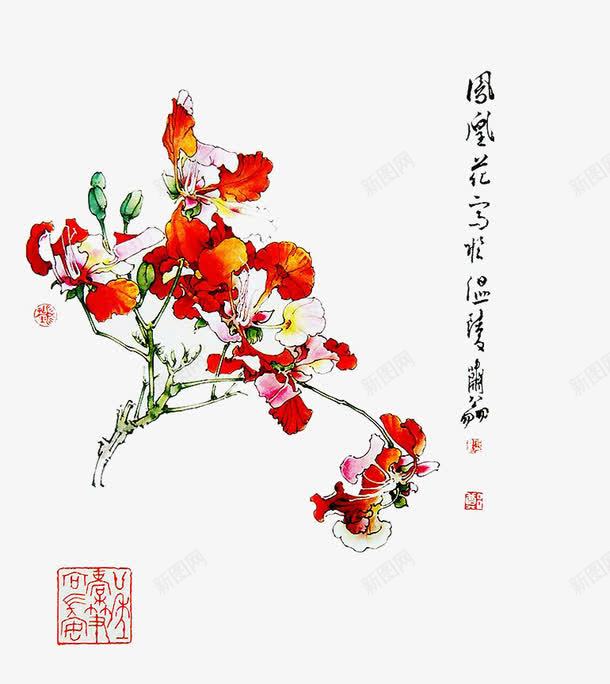 工笔画凤凰花png免抠素材_新图网 https://ixintu.com 凤凰花 凤凰花儿 工笔画 美术 花