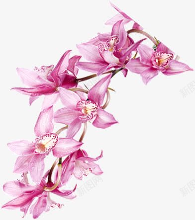 紫色手绘水彩花朵美景png免抠素材_新图网 https://ixintu.com 水彩 紫色 美景 花朵