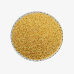 有机小米新小米粟米月子米实物免素材