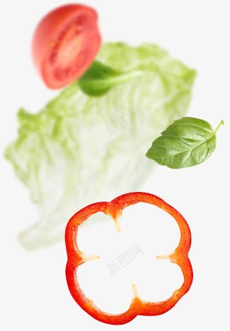 西红柿白菜叶蔬菜背景png免抠素材_新图网 https://ixintu.com 背景 菜叶 蔬菜 西红柿