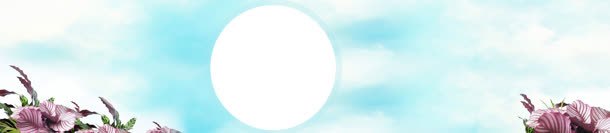 女包清新树叶背景bannerjpg设计背景_新图网 https://ixintu.com banner 女包 树叶 清新 背景