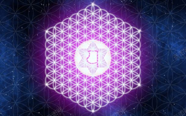蓝紫色花朵线条壁纸jpg设计背景_新图网 https://ixintu.com 壁纸 紫色 线条 花朵