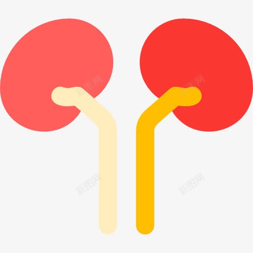 肾图标png_新图网 https://ixintu.com 医学 医疗保健和医疗 器官 泌尿科 泌尿系统 肾脏 解剖