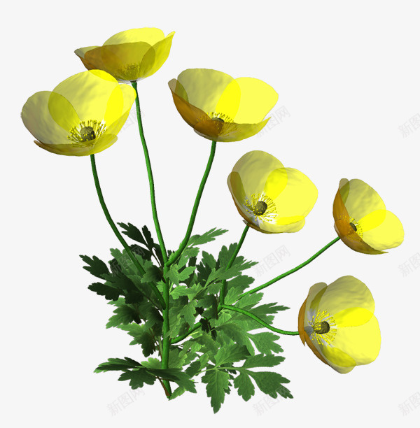 唯美花草绿植花卉png免抠素材_新图网 https://ixintu.com 国画花卉素材 手绘 矢量花卉素材 花卉矢量图素材 花草图案 花草图案素材 装饰图片