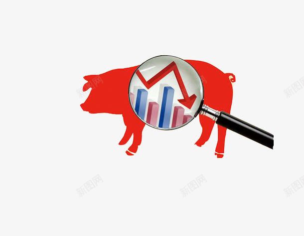 价格波动图标png_新图网 https://ixintu.com 价格波动 图标 放大镜 猪