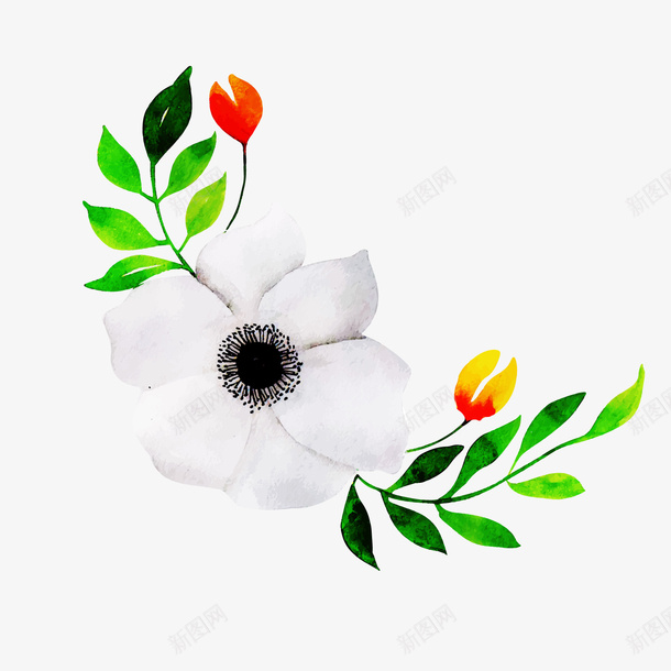 白色花卉植物矢量图eps免抠素材_新图网 https://ixintu.com PNG免抠图下载 圣洁 植物 花卉 装饰 边框 矢量图
