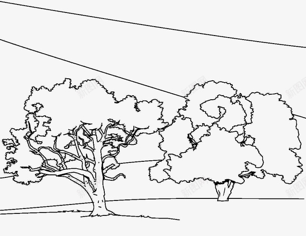 树简笔画图标png_新图网 https://ixintu.com 卡通 手绘 树 树简笔 简笔画 装饰 黑色线条