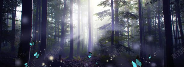 绿色深林jpg设计背景_新图网 https://ixintu.com 绿色