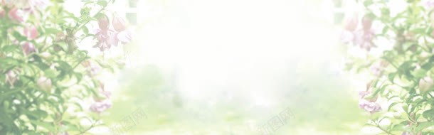 内衣jpg设计背景_新图网 https://ixintu.com 内衣