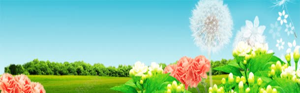 唯美绿色背景jpg设计背景_新图网 https://ixintu.com 创意 海报 淘宝banner 淘宝海报 淘宝海报素材下载 清新 简约 简约创意背景 绿色