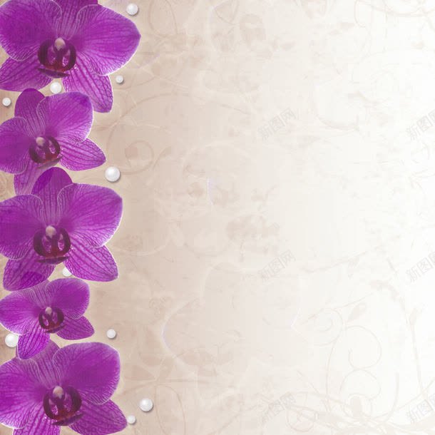 紫色兰花背景jpg设计背景_新图网 https://ixintu.com 兰花 图片素材 底纹背景 紫色 紫色兰花背景图片 紫色兰花背景图片素材下载 背景 背景花边 花朵 鲜花