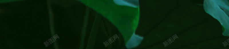 小暑二十四节气海报jpg设计背景_新图网 https://ixintu.com 二十四节气海报 夏季 夏日 小暑海报 绿色 节日 荷叶 荷花