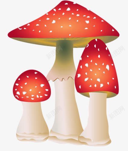 卡通蘑菇png免抠素材_新图网 https://ixintu.com 可爱香菇 毒蘑菇 蘑菇 野生菌 香菇