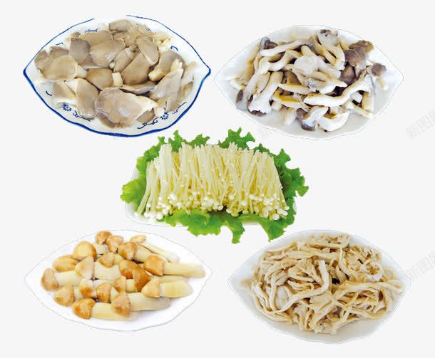 菇类菜品集合png免抠素材_新图网 https://ixintu.com 平菇 盘子 蘑菇 金针菇