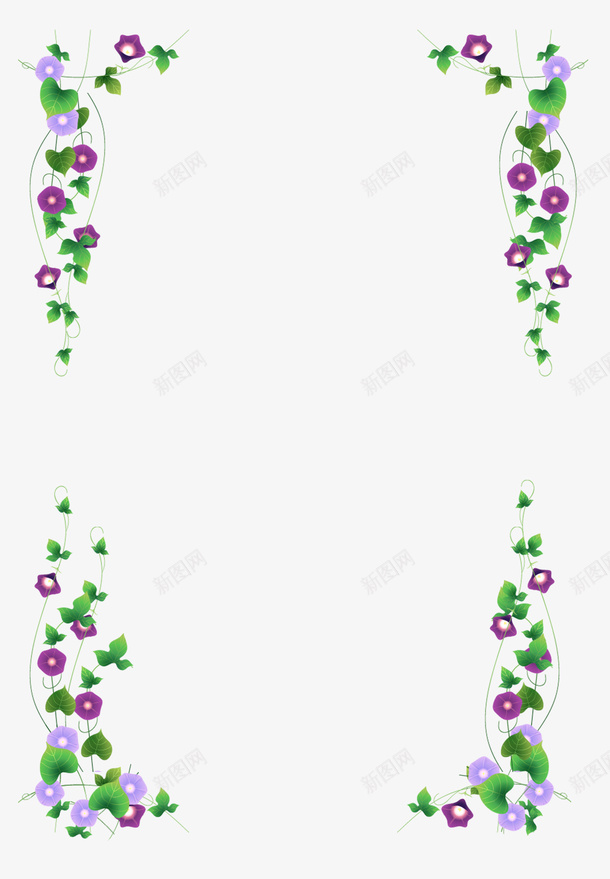 牵牛花枝条边框png免抠素材_新图网 https://ixintu.com 春天 牵牛花 简约 边框