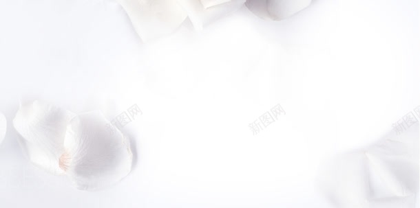 白色干净花瓣jpg设计背景_新图网 https://ixintu.com 图片 干净 白色 花瓣