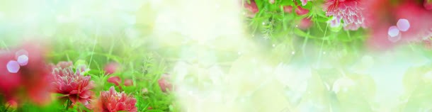 简约素雅背景jpg设计背景_新图网 https://ixintu.com 简约 素雅 背景