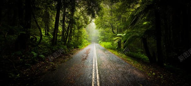 林间落满树叶的小道jpg设计背景_新图网 https://ixintu.com 小道 林间 树叶
