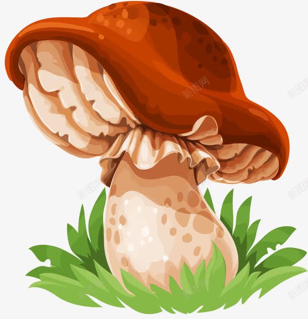 手绘香菇png免抠素材_新图网 https://ixintu.com 蘑菇 食材 食物 香菇