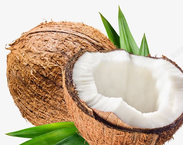 白色椰果仁png免抠素材_新图网 https://ixintu.com 果实 果肉 椰子 椰果肉 食物
