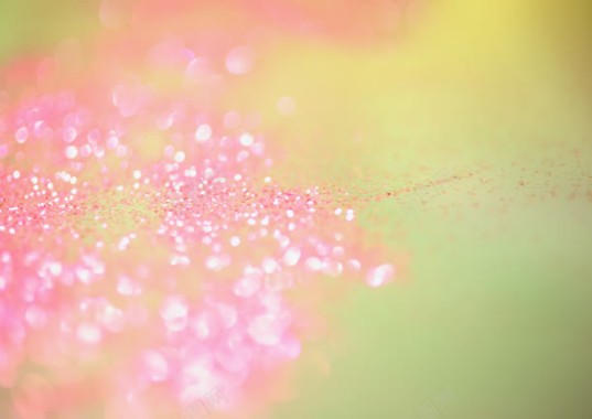 粉色花瓣绿色壁纸背景